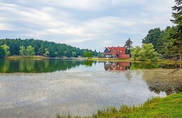 Yılbaşı Özel, Abant, Kartalkaya, Kartepe, Uludağ, Ormanya Turu