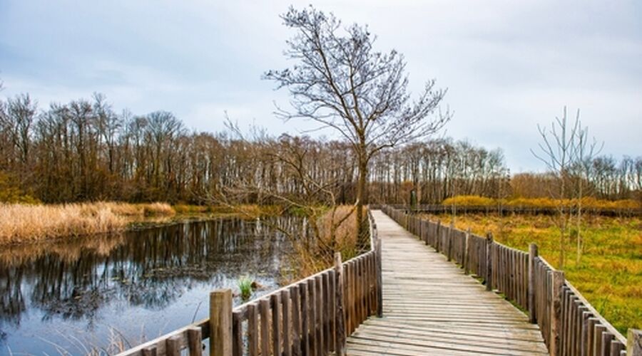 Trakya & İğneada Turları - 2026 Sezon