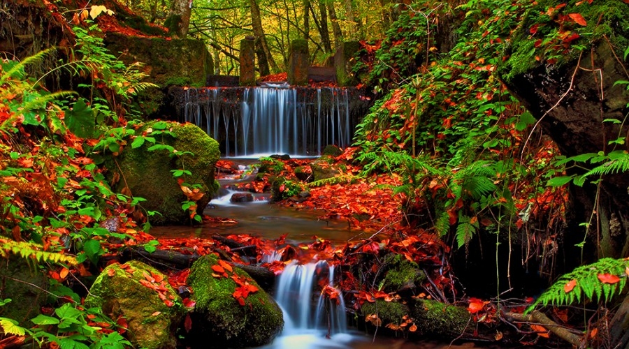 Orta & Batı Karadeniz Rüzgarı Turları - 2026 Sezon