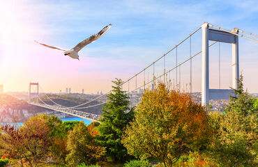 Lale & Erguvan Zamanı, İstanbul Turları