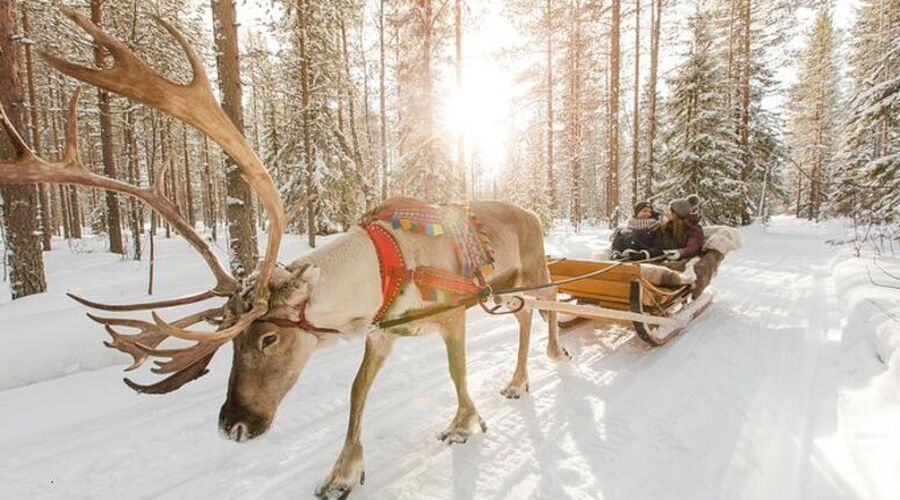 İzmir'den Aktarmasız Direkt; LAPLAND Kuzey Işıkları Turu