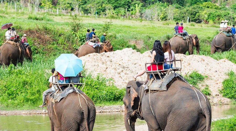 Mistik Uzakdoğu Kuzey Tayland (Chiang Rai - Chiang Mai) & Phuket