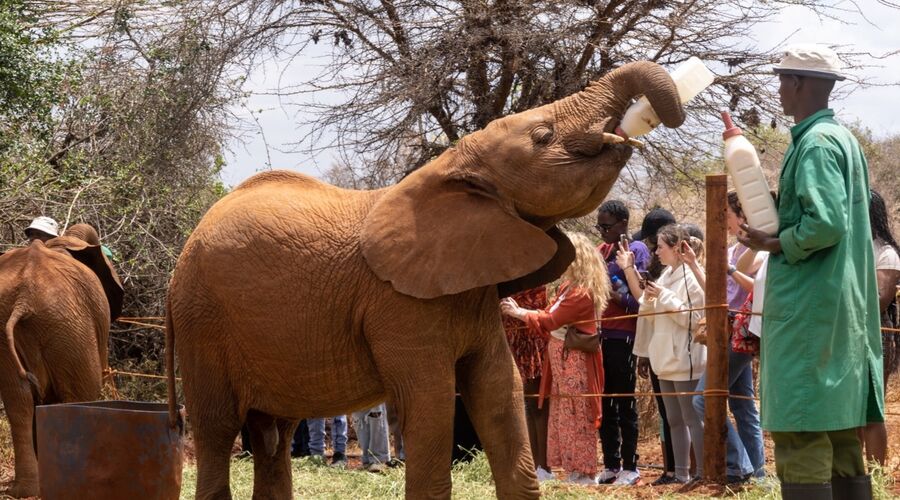 Kenya & Tanzanya & Zanzibar