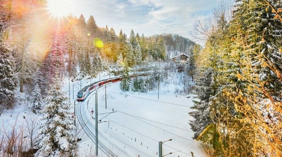 Alpler `de Rüya Yolculuk; İSVİÇRE