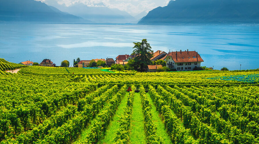 Alpler `de Rüya Yolculuk; İSVİÇRE