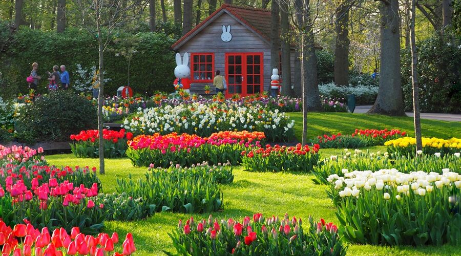 Amadeus Brilliant Nehir Gemisi ile Ren Nehrinde Lale Zamanı Özel Sefer