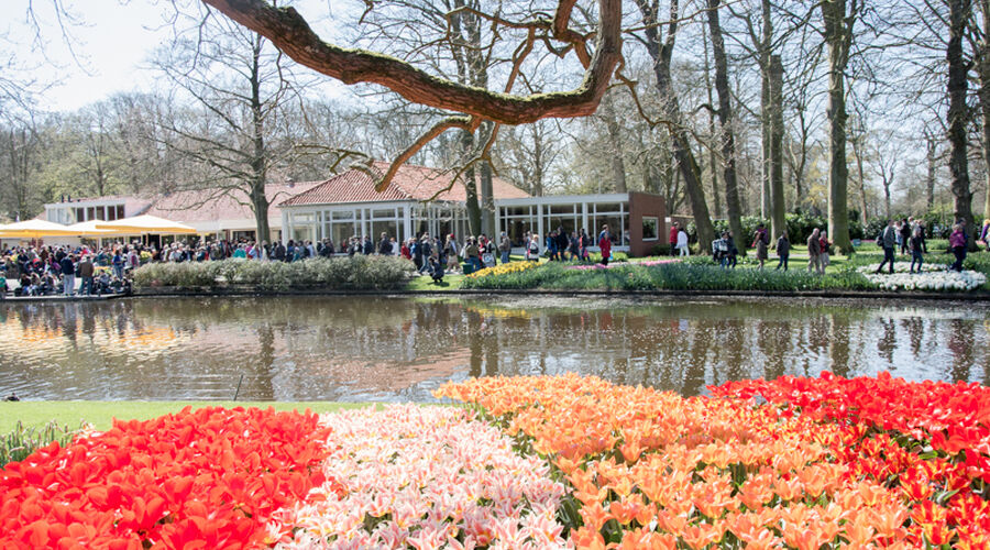 Amadeus Brilliant Nehir Gemisi ile Ren Nehrinde Lale Zamanı Özel Sefer
